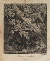 KG 01076
          <br/>
          Entwurf einiger Thiere. Vierter Theil. (16 bladen)
          <br/>
          <em>Ridinger, Johann Elias (1698-1767)</em>
